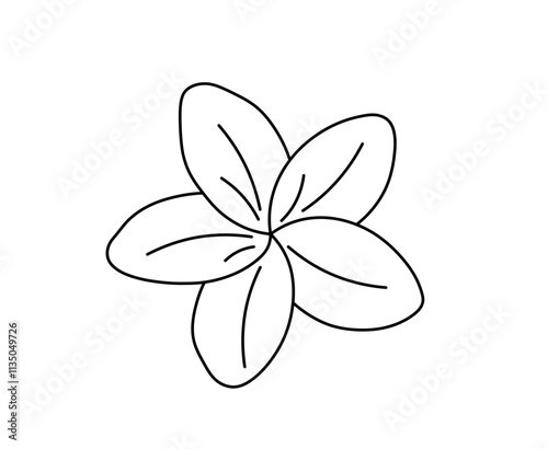 Vector isolated one single simple tropical mango flower with five petals doodle tattoo sketch colorless black and white contour line easy drawing