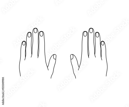 Vector isolated two hands left and right fingers nails  tattoo sketch  colorless black and white contour line easy drawing