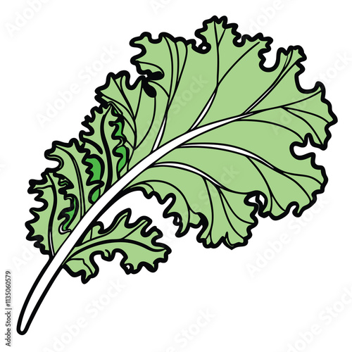 Vibrant, stylized illustration of a kale leaf.