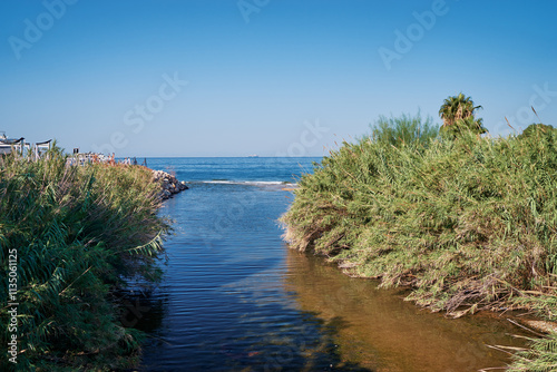 A serene coastal scene with a narrow river flowing into the sea, bordered by lush green vegetation under a clear blue sky. photo