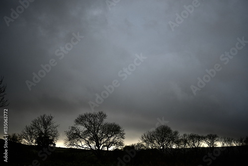 beautiful winter tree silhouette photo with dark skies photo