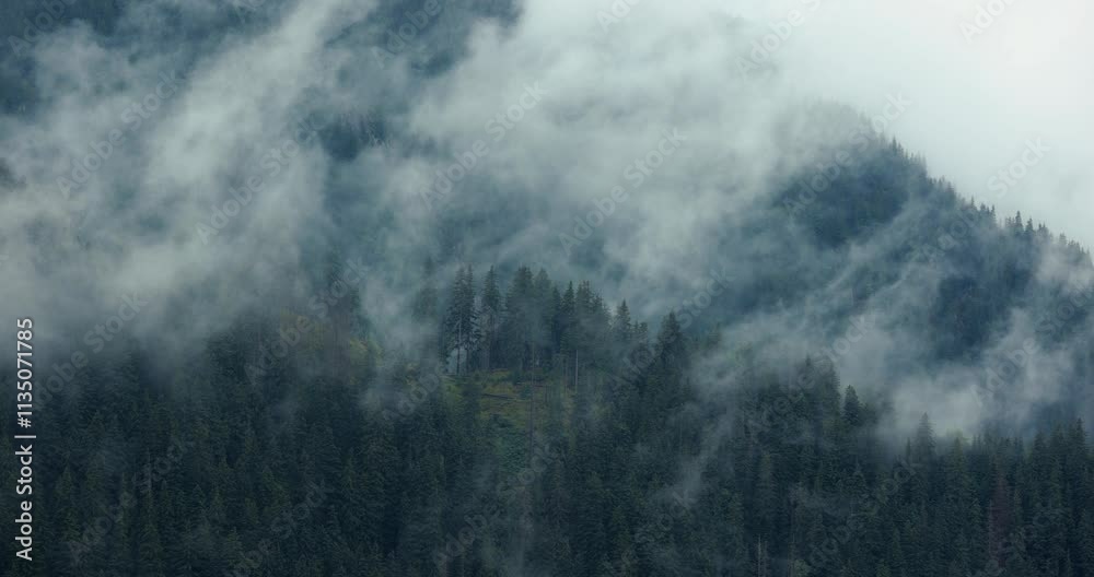Foggy forest mountain landscape, clouds moving Foggy forest mountain landscape, clouds moving