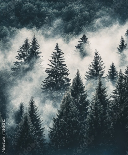 Foggy Mountain Forest with Abstract Landscape in Soft Light