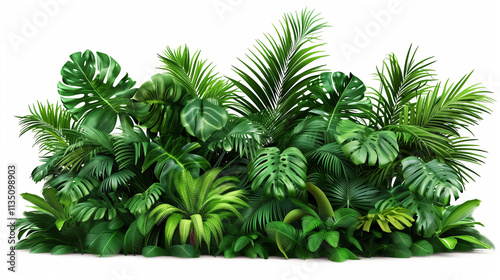 Lush Green Tropical Plants - Transparent PNG Available for Creative Use" "Download Transparent PNG of Lush Green Tropical Plants for Your Designs"