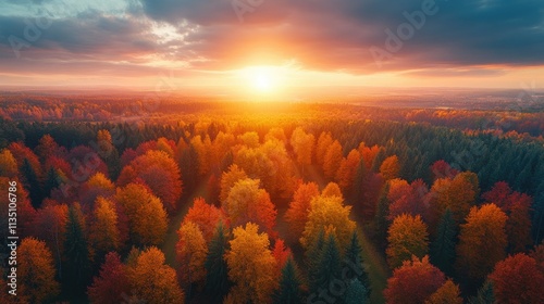 Autumnal Forest Sunset: Aerial View of Vibrant Fall Colors