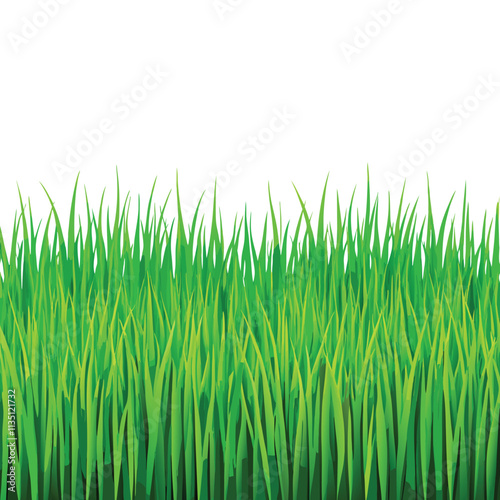 Vibrant Green Grass Texture Seamless Background