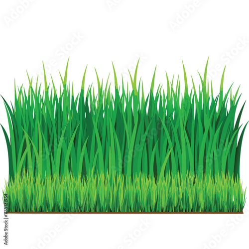 Vibrant Green Grass Texture Seamless Background