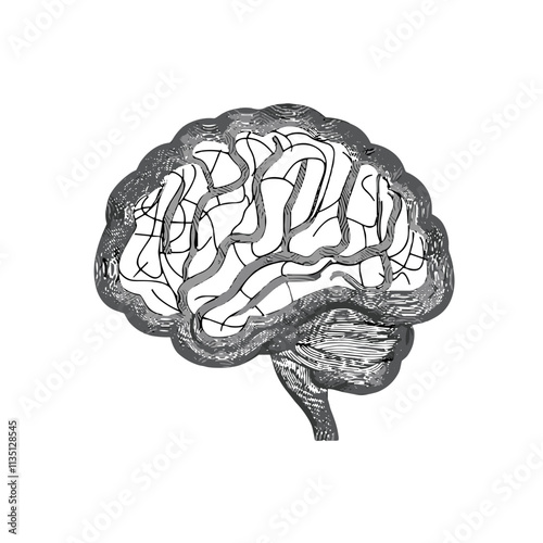 Brain Icon in Detailed Outline Style