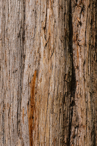 Wallpaper Mural Stadtgarten Überlingen, Baden-Württemberg, Deutschland Torontodigital.ca