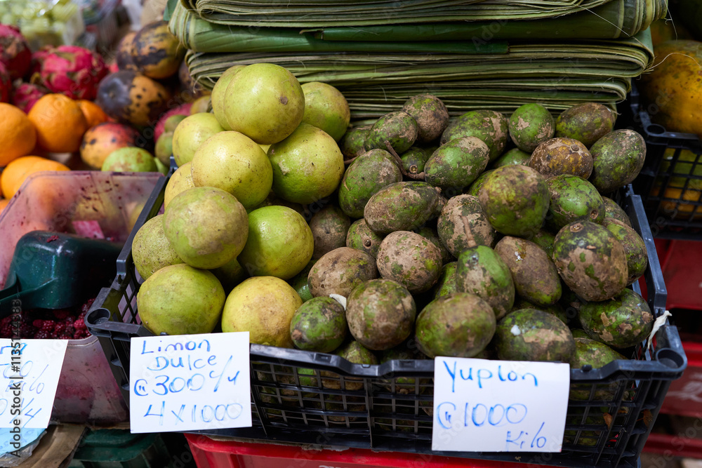 San Jose, Costa Rica - November 15, 2024 - the Central Market interior in downtown San Jose