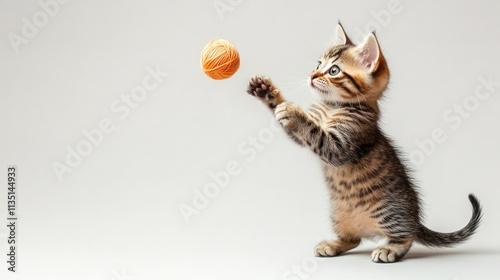 Adorable Kitten Playing with Yarn Ball photo