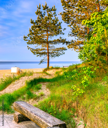 Resting area and relaxing site with old wooden bench and lonely pine tree nea...