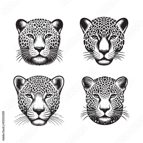 Leopard Face Silhouette Vector Set – Wild Cat Portrait Illustrations photo