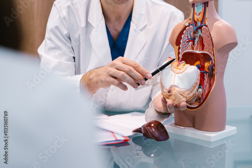 Obraz na płótnie Male doctor explaining human anatomy using anatomical model to colleagues or patient. Medical professional demonstrating internal organs. w salonie