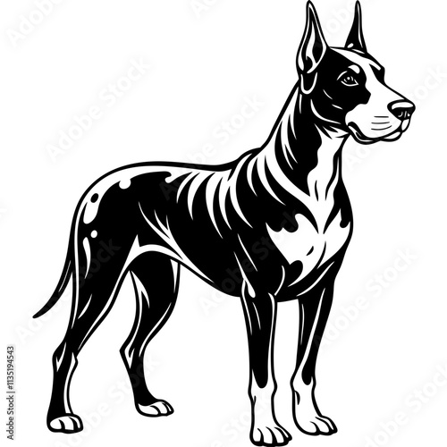great dane dog black silhouette vector with white background