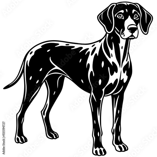 Weimaraner dog black silhouette vector with white background photo