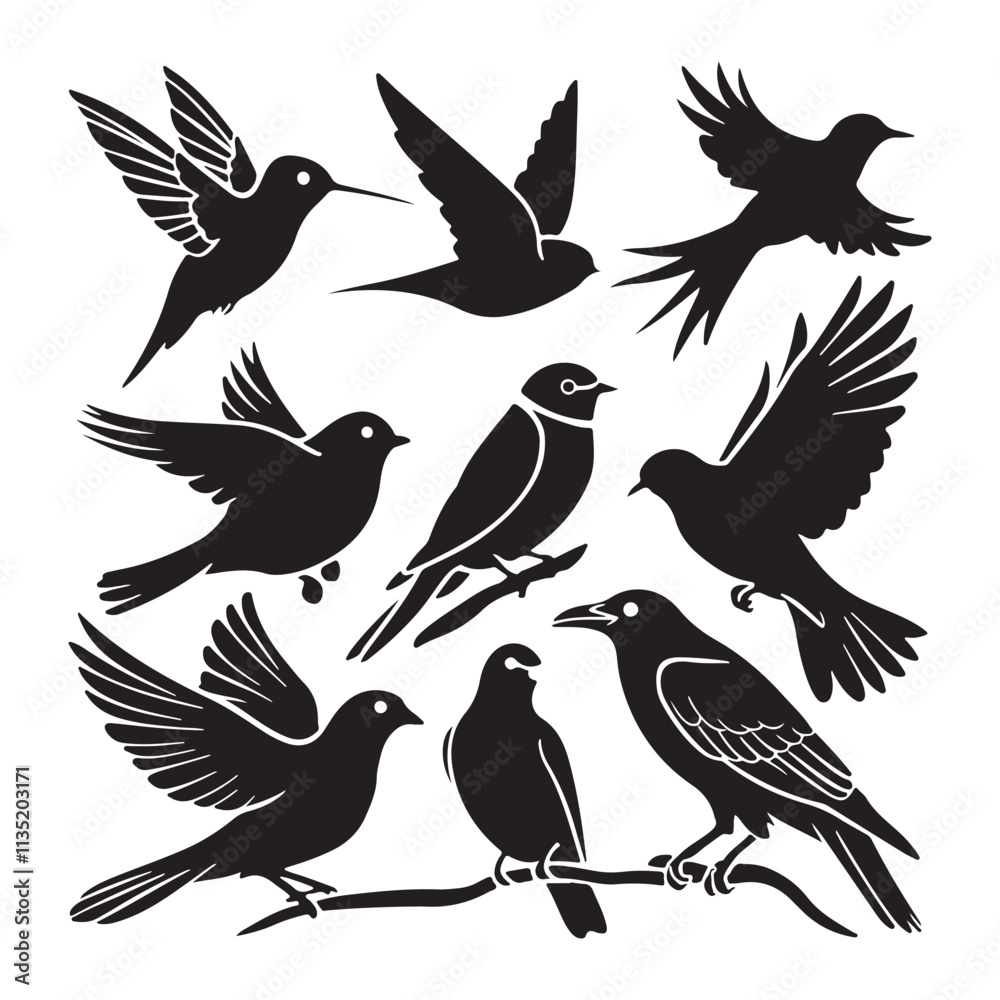 Silhouettes – Birds Birds of Spring Pigeons Flying Silhouettes 4