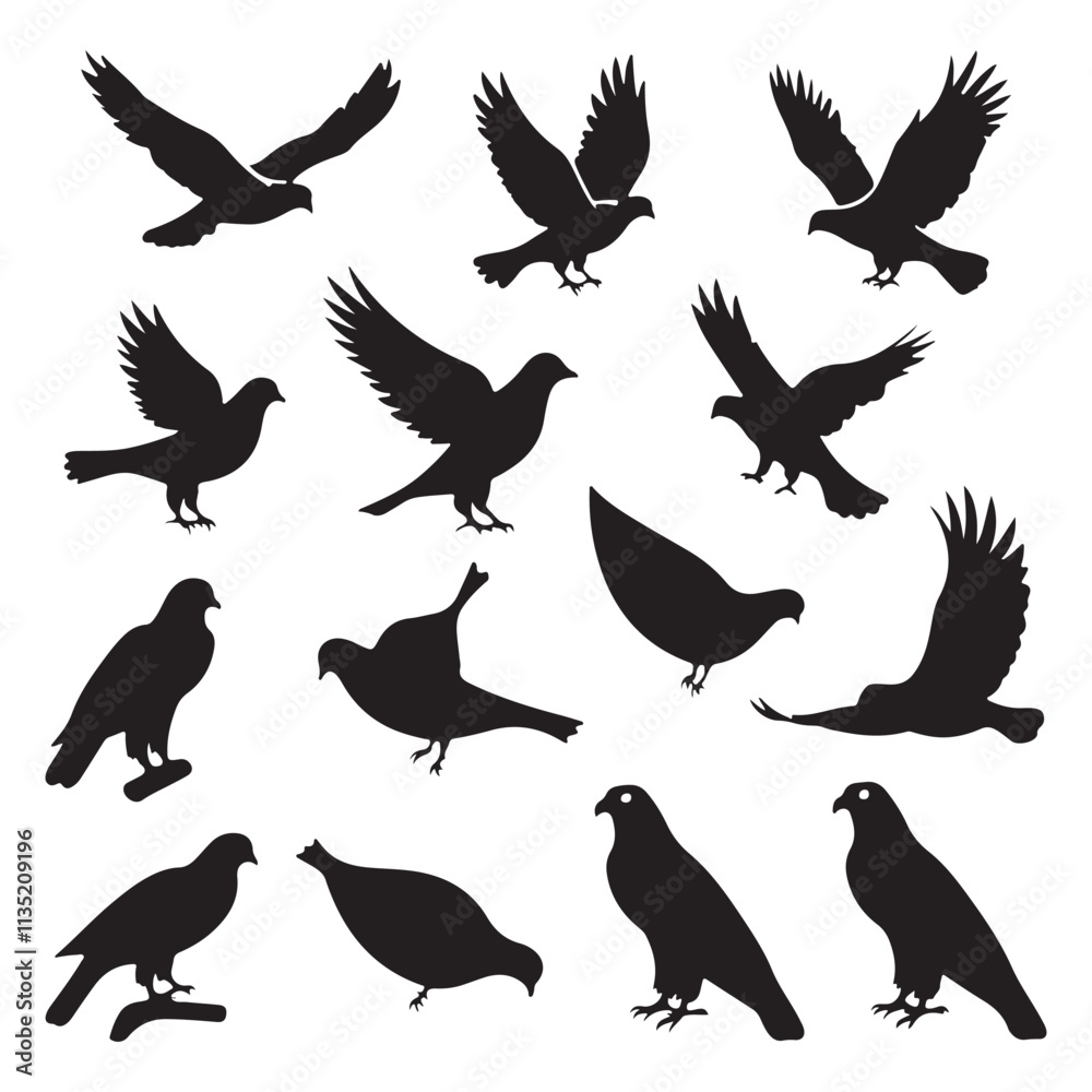 Obraz premium brid silhouette Pigeons Flying Silhouettes 6 Raven Silhouette 