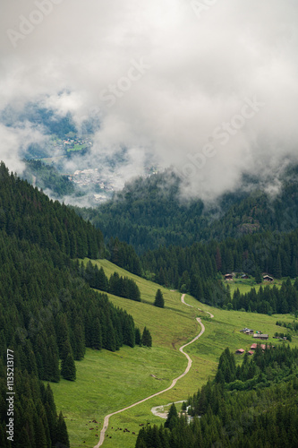  Les Contamine-Montjoie, Haute-Savoie, France. Road through forest and alpine meadowsabove les Contamines on the Tour du Mont Blanc
 photo