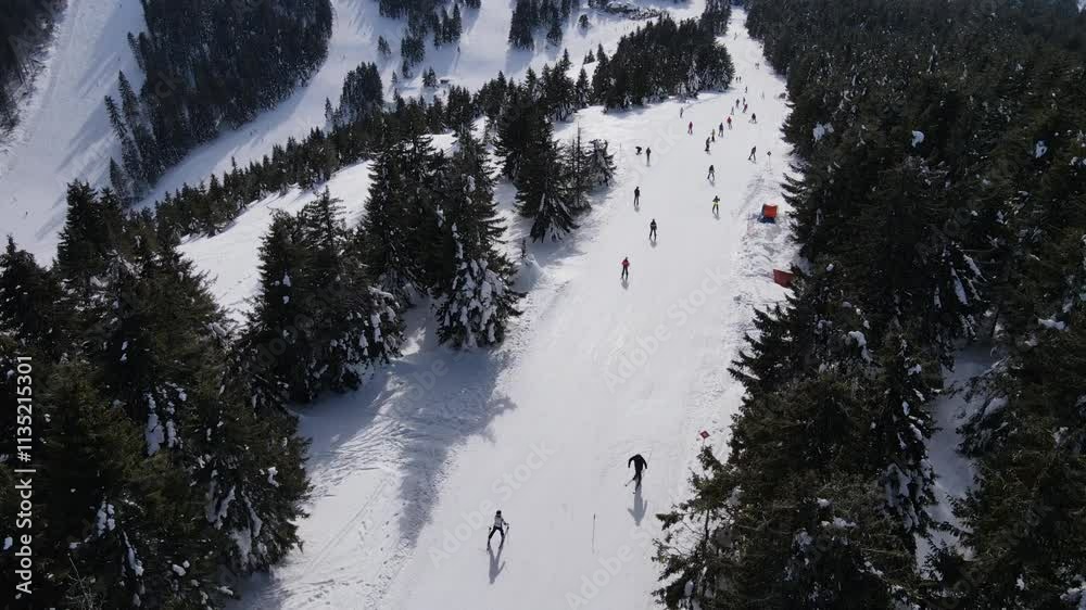 Drone scenery of people skiing on snowy Kopaonik Mountain range, surrounded by forests