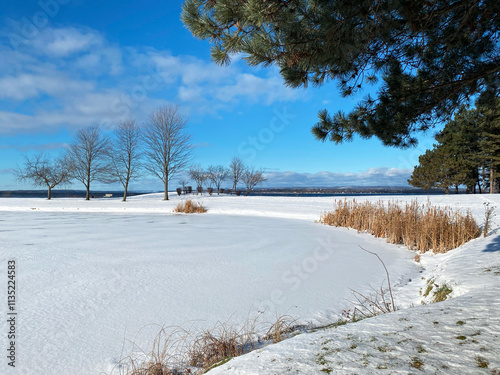 Snow-covered lake with wintery cattails