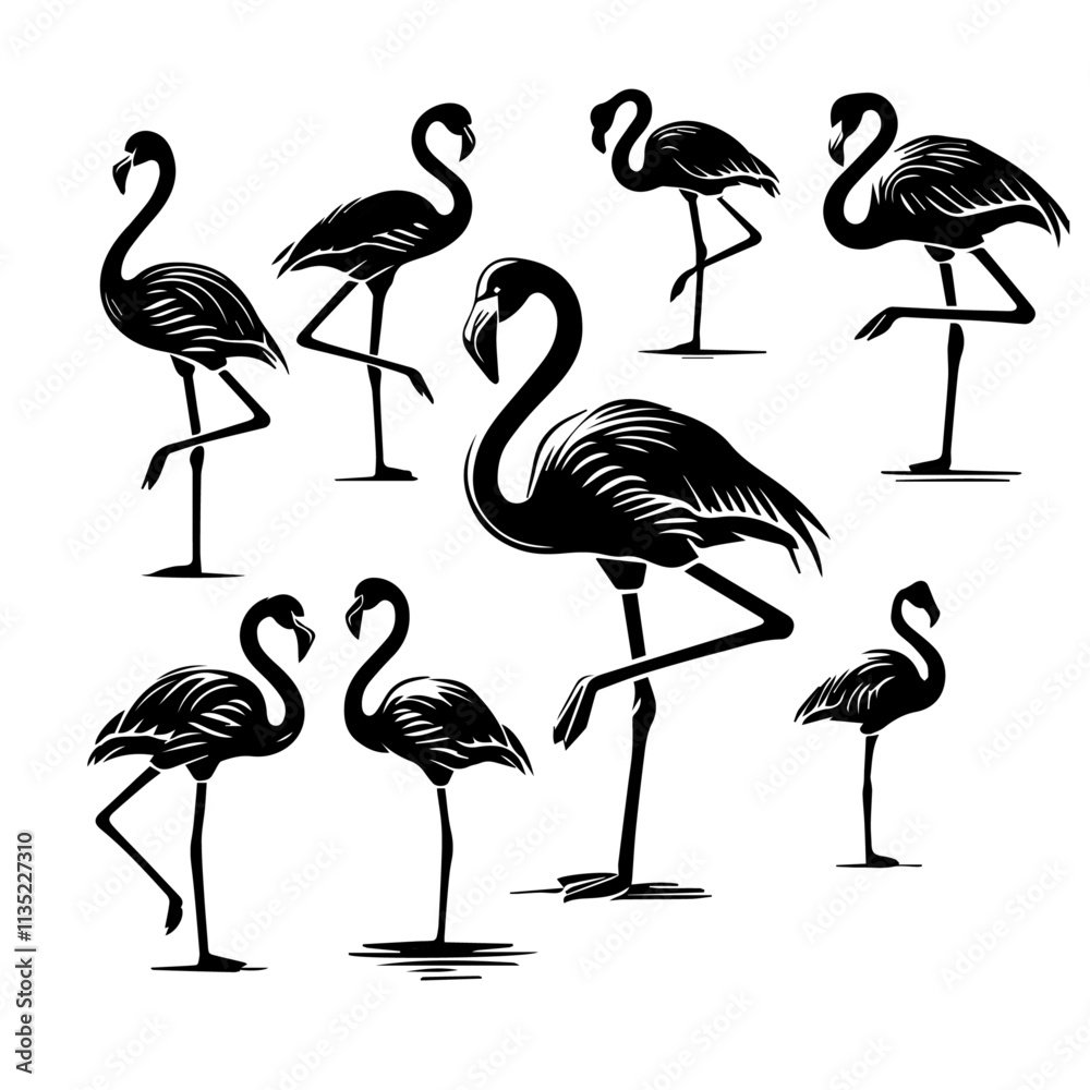 Obraz premium set of flamingos in different poses silhouette. Vector illustration