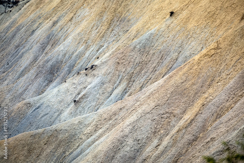 Detail of an arid and desert landscape in the Barrancos de Gebas in the Algeciras reservoir, Alhama de Murcia, Region of Murcia, Spain