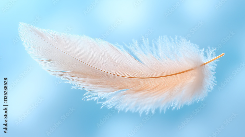 Obraz premium A light feather floating downward.