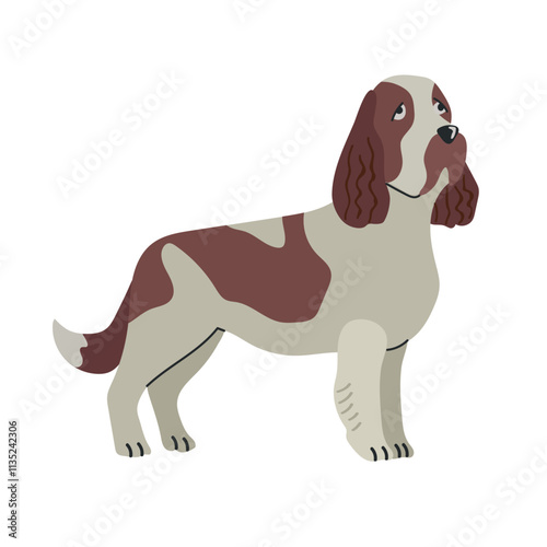 English springer spanielicon clipart avatar logotype isolated illustration