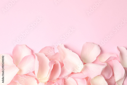 Pink rose petals on a color background