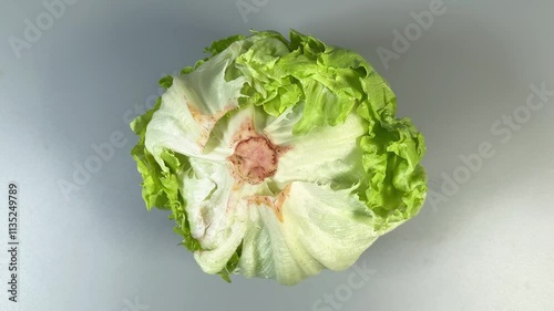 Head of fresh iceberg lettuce on a gray background photo