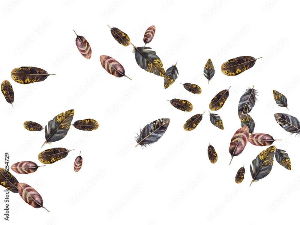 Obraz premium Adobe Illustrator Artwork