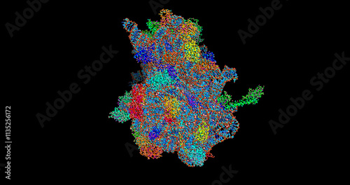 Thermus thermophilus 70S ribosome with mRNA, aminoacylated A-site Phe-tRNAphe, aminoacylated P-site fMet-tRNAmet, deacylated E-site tRNAphe, 3D molecule 4k photo