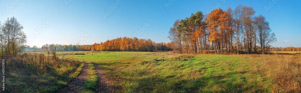 landscape with trees and blue sky landscape with trees and blue sky