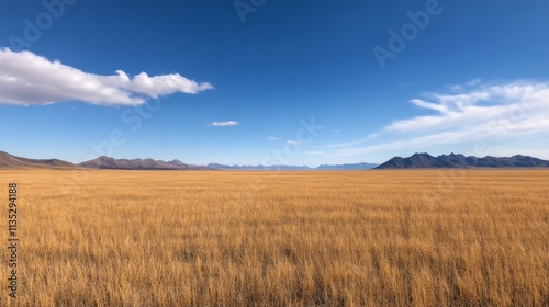 Bright yellow flowers bloom in a vast field under a clear blue sky
