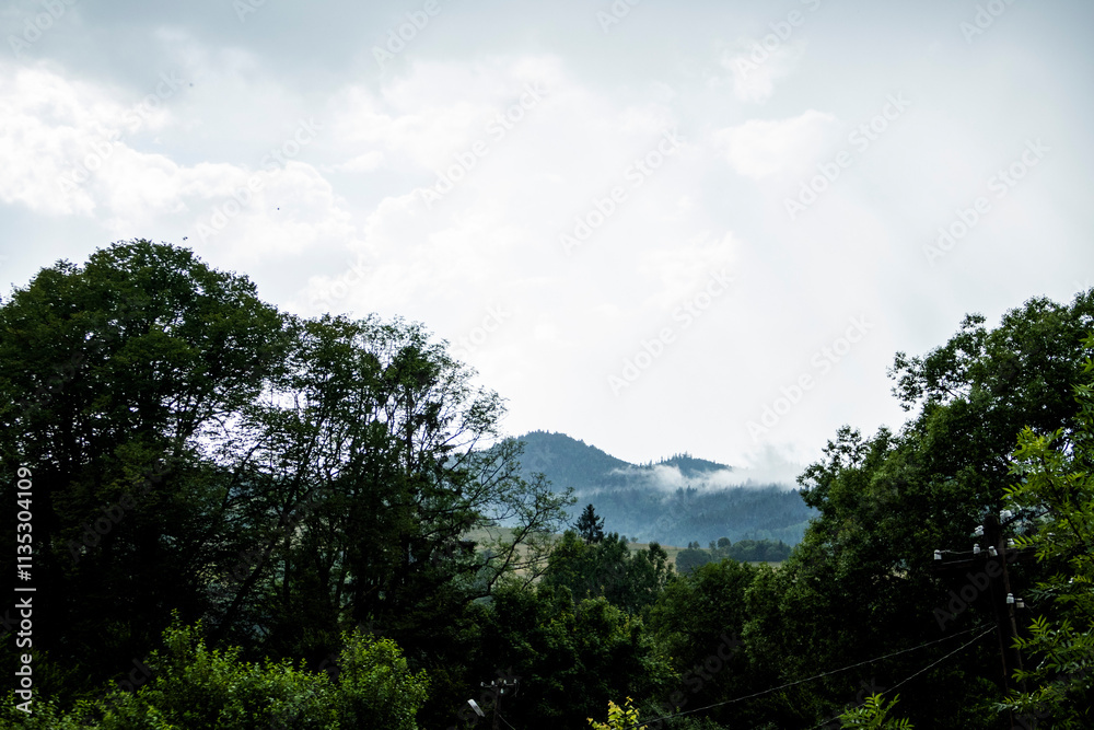gray sky, white clouds, fog, mountains, landscape, trees, green leaves, travel, space, weekend gray sky, white clouds, fog, mountains, landscape, trees, green leaves, travel, space, weekend