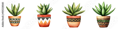 Succulent plants in tribal inspired pots, showcasing vibrant designs and colors, isolated on transparent background. photo