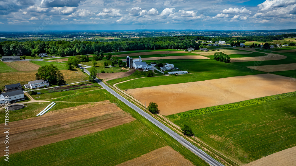 Obraz premium Vast agricultural fields dominate the landscape, showcasing a mix of green crops and brown earth.