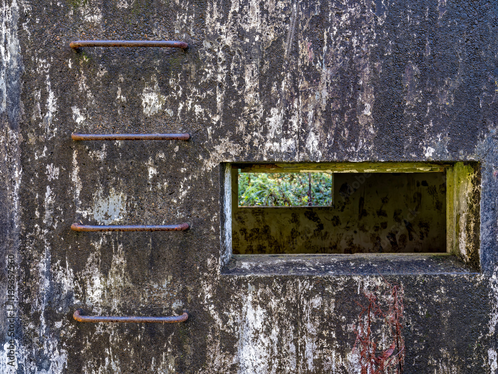 Εκτύπωση καμβά A window in the side of a decommissioned concrete bunker at Cape Disappointment