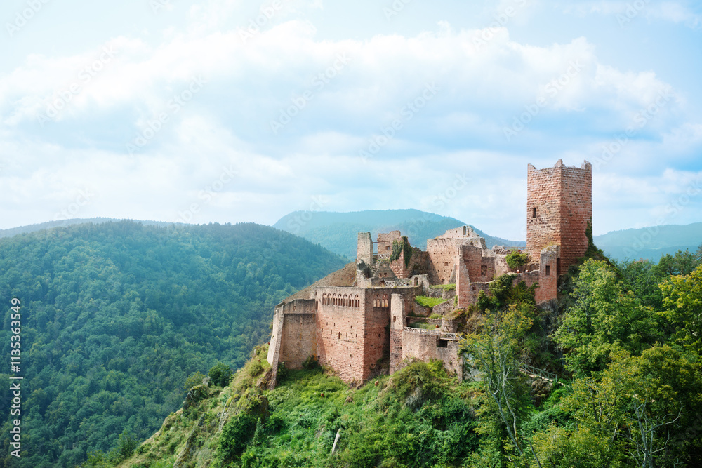 Explore the historic castle ruins perched above expansive woods Explore the historic castle ruins perched above expansive woods