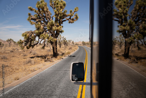 Driving in an RV through Joshua Tree National Park during USA road trip. Reflection of road and Joshua Tree in RV window. California, USA.