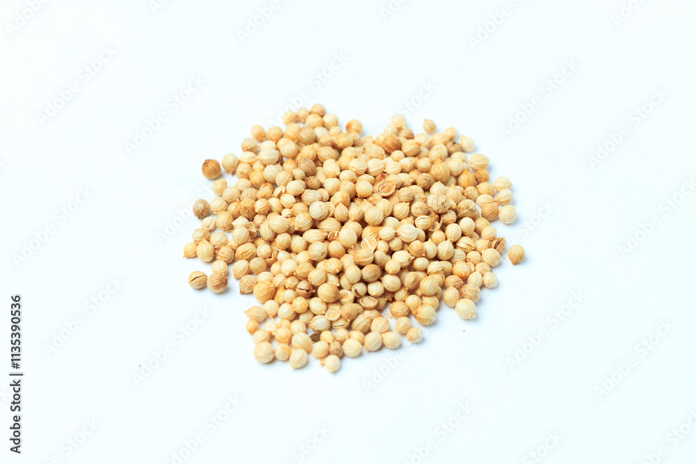 A complete selection of Indonesian spices and seasonings, perfect for creating authentic traditional dishes, on isolated white background (Kumpulan bumbu dan rempah-rempah khas Indonesia) A complete selection of Indonesian spices and seasonings, perfect for creating authentic traditional dishes, on isolated white background (Kumpulan bumbu dan rempah-rempah khas Indonesia)