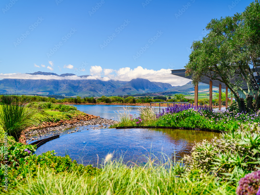 Helderberg Mountain backdrop to a lush garden, dam, and pool of clear water, Somerset West, South Africa