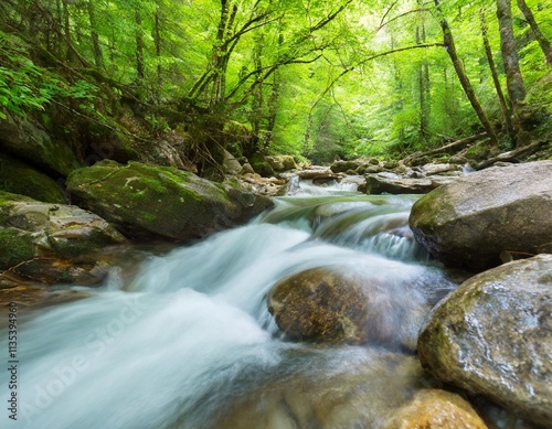 Crystal Clear Mountain Stream Flowing Through Lush Green Forest Under Bright Daylight