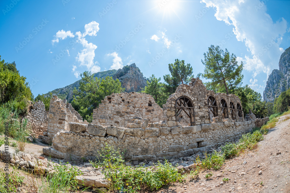 Fototapeta premium The ancient city of Olympos is a Lycian settlement located 10 km north of Tahtalı Mountain in Kumluca District, west of Antalya. It was founded as a Lycian port city. It is an important tourism locati