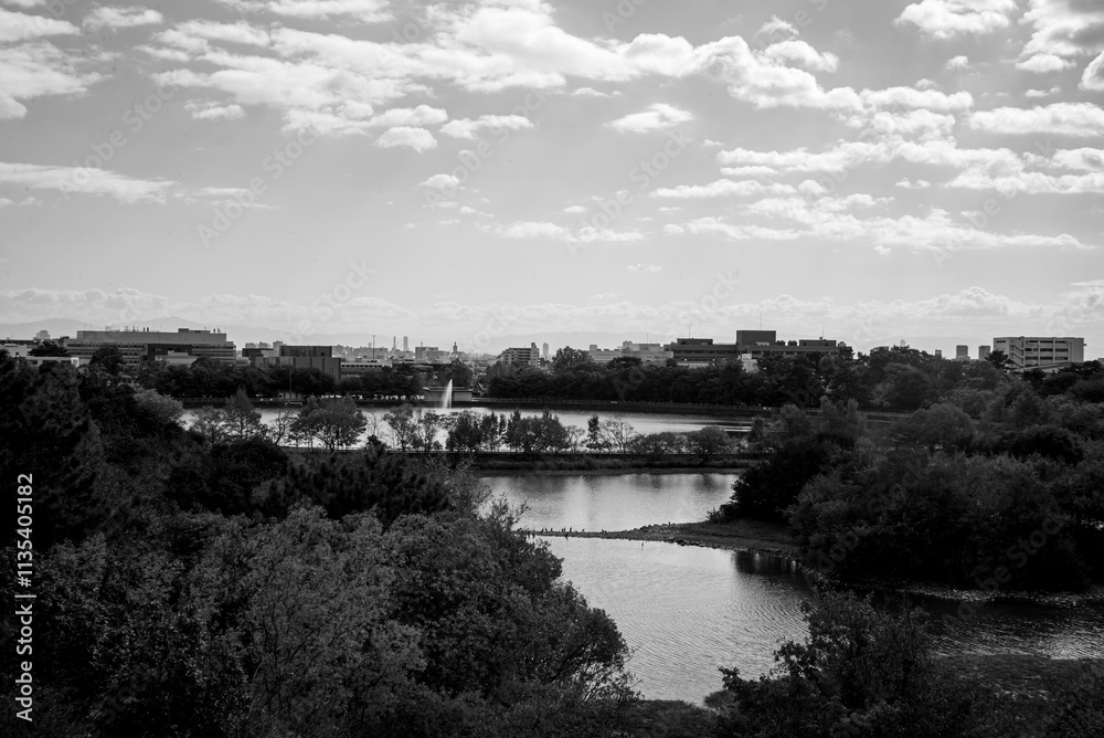 Fototapeta premium bridge over river