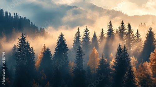 Misty Mountain Sunrise Forest. Concept of tranquility, nature, and autumn.