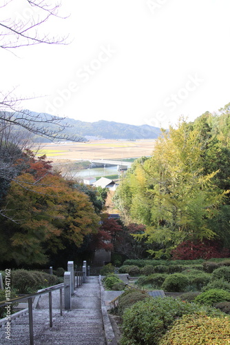 宗像市の鎮国寺の参道風景 photo