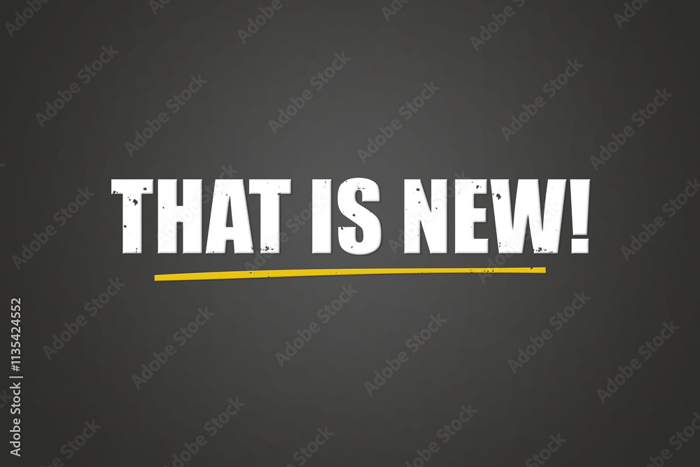 Fototapeta premium That is new. A blackboard with white text. Illustration with grunge text style.