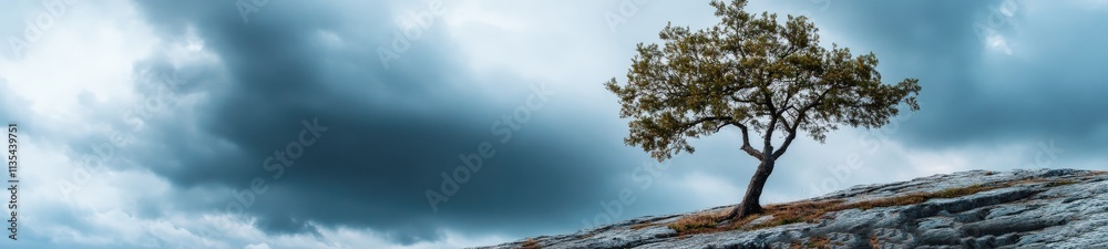 Solitary Tree on Stormy Cliff with Dramatic Clouds and Sunlight Solitary Tree on Stormy Cliff with Dramatic Clouds and Sunlight